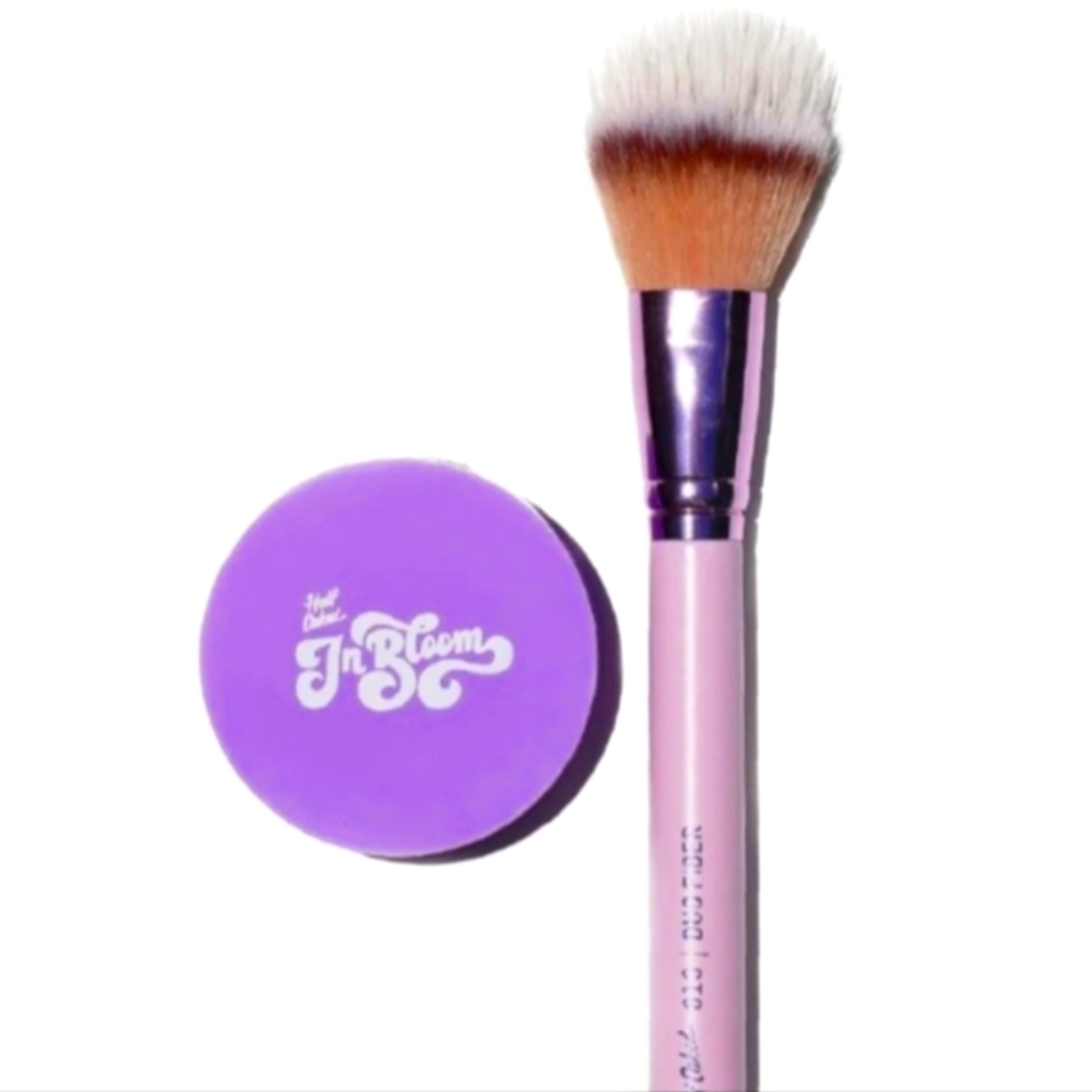 ✨️Day "N" Nite Blush + Duo Fiber Brush Set - Best Friends Forever